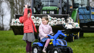 Over 1,900 toy sheep to be hidden across Scotland for RHASS anniversary