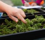 Calderdale Council's 'peatland pioneer' is shortlisted for environment award